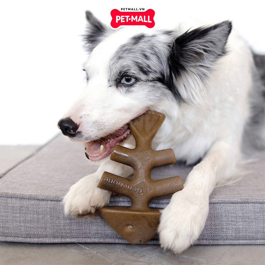 Xương gặm BENEBONE Fishbone Dog Salmon Flavour - cho chó < 27kg Petmall