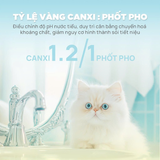 Thức ăn mèo nhân thịt Churro C90U QQ Cat Kibble - Cho mọi lứa tuổi