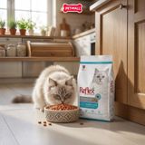 6KG - Thức ăn mèo Reflex Salmon & Rice Sterilised - Dành cho mèo triệt sản, vị cá hồi và gạo Petmall