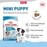 Set quà RC - 800g Mini Puppy Thức ăn chó tặng 1 gói Pate Mini Puppy 85g Petmall