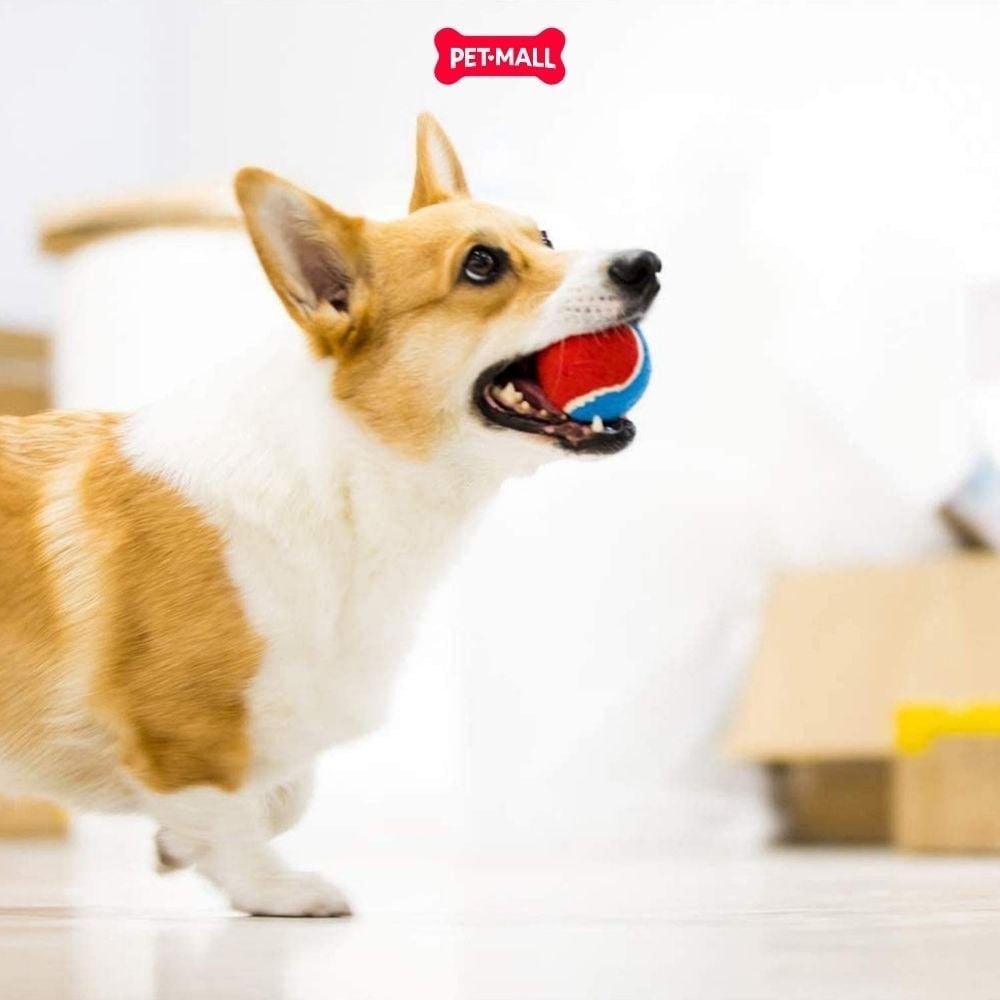 Đồ chơi GiGwi Ball Originals Tennis Ball for dog - size XS Petmall