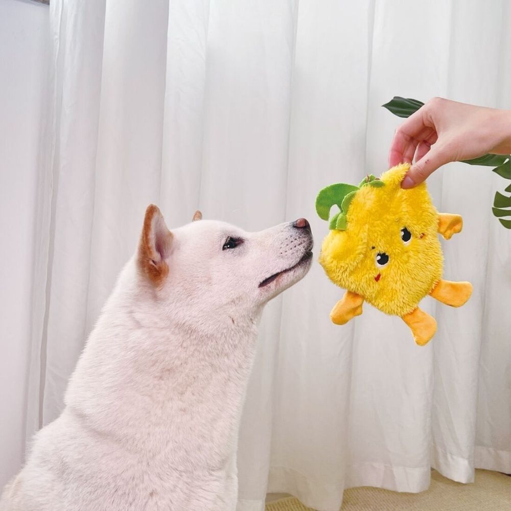Đồ chơi GiGwi Suppa Puppa BellPepper Squeaker/Crinkle Inside - Gấu Bông ỚT Chuông Vàng Petmall