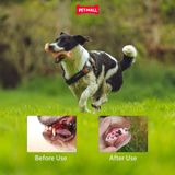 Đồ chơi GiGwi Nylon S-bone xương gặm chữ S Petmall