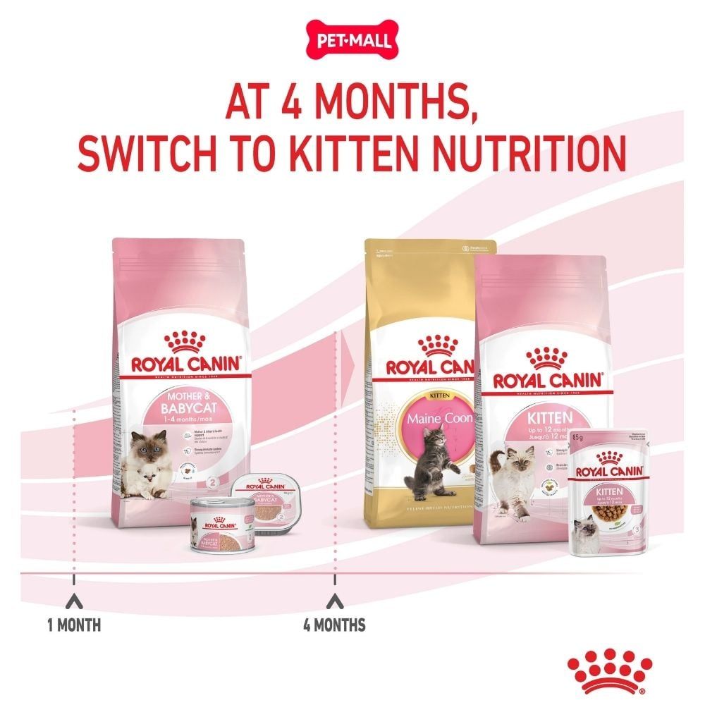 Set quà RC - 2KG Mother & Babycat Thức ăn mèo tặng 2 gói Pate Kitten 85g Petmall