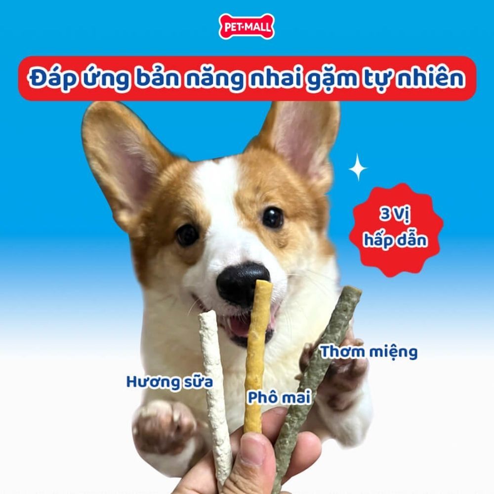 Treats Doggyman que dai da bò hương phô mai 120g - Hỗ trợ sạch răng thơm miệng Petmall
