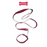 Set dây dắt + vòng cổ SONICE Mix Colour Large Size - Cho chó <20kg Petmall