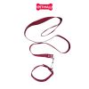 Set dây dắt + vòng cổ SONICE Mix Colour Large Size - Cho chó <20kg Petmall
