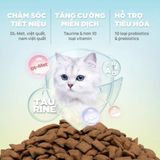 5KG - Thức ăn mèo nhân thịt Churro C90U QQ Cat Kibble - Cho mọi lứa tuổi Petmall