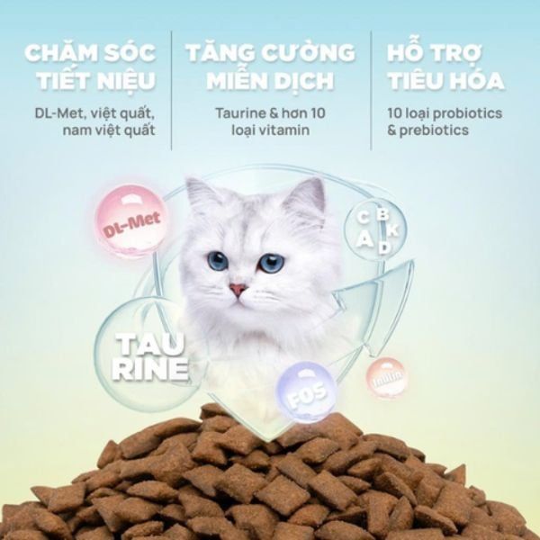 5KG - Thức ăn mèo nhân thịt Churro C90U QQ Cat Kibble - Cho mọi lứa tuổi Petmall
