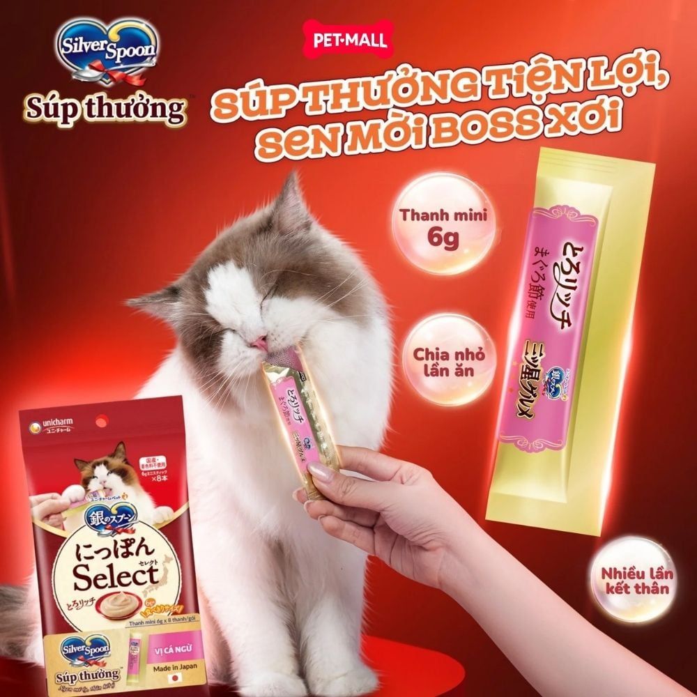 Treats mèo Silver Spoon súp thưởng dạng thanh size Mini từ Nhật Bản