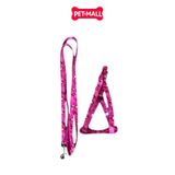 Set Dây + Yếm Sonice Lucky Leash + Harness 5kg - 1cm Gấu dâu Petmall