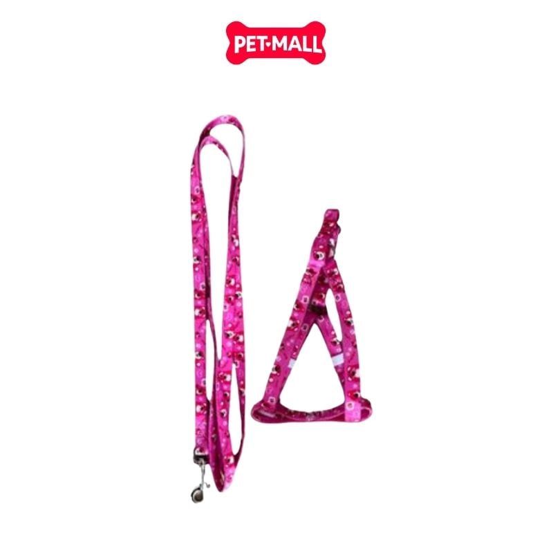 Set Dây + Yếm Sonice Lucky Leash + Harness 5kg - 1cm Gấu dâu Petmall
