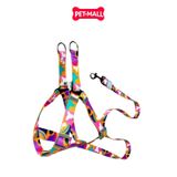 Set Dây + Yếm Sonice Lucky Leash + Harness 30kg - 2.5cm Loang màu  Petmall