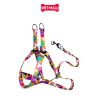 Set Dây + Yếm Sonice Lucky Leash + Harness 30kg - 2.5cm Loang màu  Petmall
