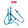 Set Dây + Yếm Sonice Lucky Leash + Harness 30kg - 2.5cm Hình chó xanh biển Petmall