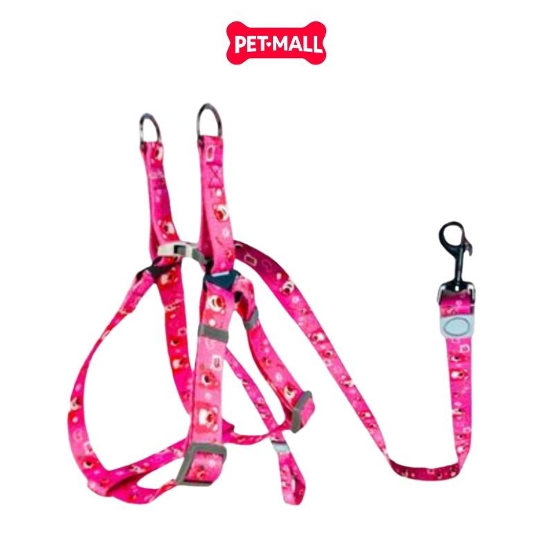 Set Dây + Yếm Sonice Lucky Leash + Harness 30kg - 2.5cm Gấu dâu Petmall