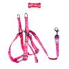 Set Dây + Yếm Sonice Lucky Leash + Harness 30kg - 2.5cm Gấu dâu Petmall