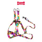 Set Dây + Yếm Sonice Lucky Leash + Harness 20kg - 2cm Loang màu Petmall