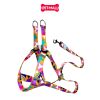 Set Dây + Yếm Sonice Lucky Leash + Harness 20kg - 2cm Loang màu Petmall