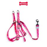 Set Dây + Yếm Sonice Lucky Leash + Harness 20kg - 2cm Gấu dâu Petmall