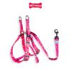 Set Dây + Yếm Sonice Lucky Leash + Harness 20kg - 2cm Gấu dâu Petmall