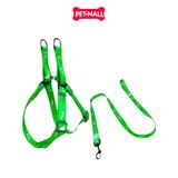 Set Dây + Yếm Sonice Lucky Leash + Harness 20kg - 2cm Bơ xanh Petmall