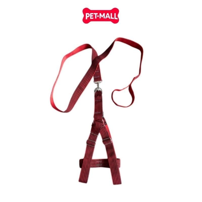 Set dây dắt + yếm SONICE Mix Colour X-Large Size - Cho chó <30kg Petmall