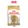 ROYAL CANIN POODLE ADULT