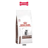 400G - Thức ăn mèo Royal Canin Gastrointestinal KITTEN - Hỗ trợ tiêu hoá cho mèo con Petmall