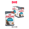 Hộp 12 Gói 85G - Pate mèo Royal Canin Urinary Gravy Petmall