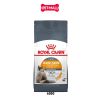 400G - Thức ăn mèo Royal Canin HAIR & SKIN Care - Dưỡng da và lông Petmall