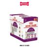 Pate mèo Royal Canin Sensory Smelly, Taste, Feel in Gravy 85g - Hộp 12 gói Petmall
