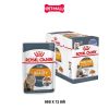 Pate mèo Royal Canin Beauty Jelly 85g - Hộp 12 gói Petmall