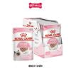 Pate mèo Royal Canin Kitten Loaf 85g - Hộp 12 gói Petmall