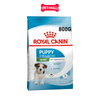 800G - Thức ăn chó Royal Canin MINI PUPPY
