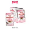Pate mèo Royal Canin Kitten Gravy 85g - Hộp 12 gói Petmall