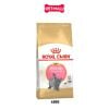 Thức ăn mèo Royal Canin British Shorthair Kitten 400g - Mèo Anh lông ngắn Petmall