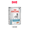 Pate chó Royal Canin Hypoallergenic Canin Loaf 400g - Hỗ trợ dị ứng Petmall