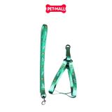 Set Dây + Yếm Sonice Lucky Leash + Harness 10kg - 1.5cm Bơ xanh Petmall
