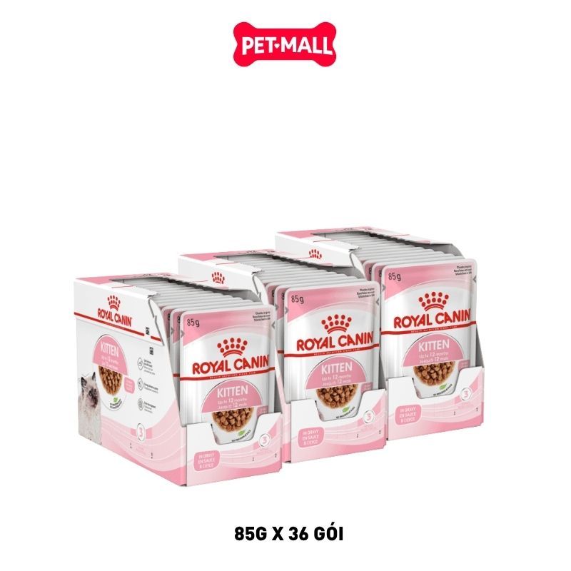 Combo Pate mèo Royal Canin Kitten Gravy 85g - 36 gói Petmall