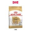 1.5KG - Thức ăn Chó Royal Canin Chihuahua Adult Petmall
