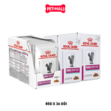 Combo Pate mèo Royal Canin Renal With Fish Gravy 85g - Hộp 36 gói Petmall