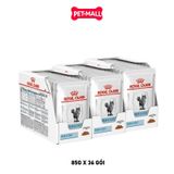 Combo Pate mèo Royal Canin Skin & Coat in Gravy 85g - 36 gói Petmall