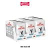 Combo Pate mèo Royal Canin Skin & Coat in Gravy 85g - 36 gói Petmall