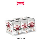Combo Pate mèo Royal Canin Instinctive Loaf 85g - 36 gói Petmall