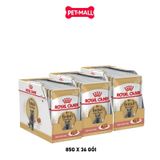 Combo Pate mèo Royal Canin British Shorthair Adult Gravy 85g - Hộp 36 gói Petmall