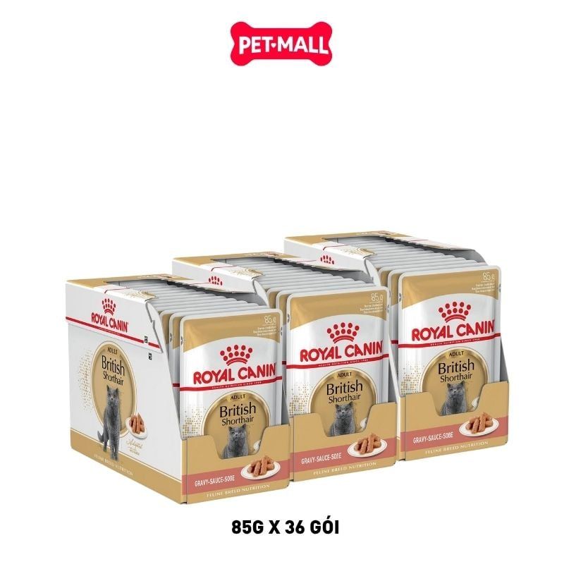 Combo Pate mèo Royal Canin British Shorthair Adult Gravy 85g - Hộp 36 gói Petmall