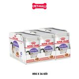 Combo Pate mèo Royal Canin Sterilised Gravy 85g - 36 gói Petmall