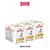 Combo Pate chó Royal Canin Urinary Canine S/O Gravy 100g - 36 gói - Hỗ trợ trị sỏi bàng quang Petmall