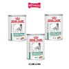 Combo Pate chó Royal Canin Diabetic Special Low Carbohydrate Loaf 410g - 3 lon - Hỗ trợ tiểu đường Petmall